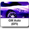 GM Automotive EFI